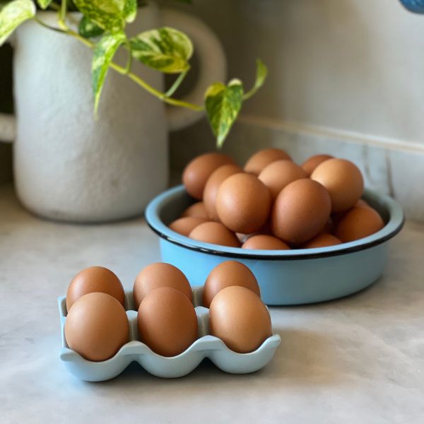 Porta Ovos de Cerâmica - Azul Pastel